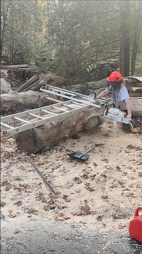 Using a ladder to make first cut with Alaskan chainsaw mill