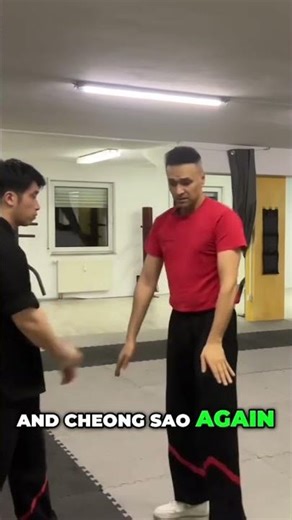 Let’s build your own wing tsun school www.wingtsun-masterclass.com