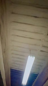 Wepa Challenge ‼️#MedioCorazón #KingsDelWepa #cumbiawepa #Wepa | Abraham Ismael Perales