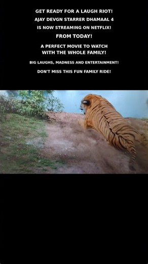 Dhamaal 4 is Now Streaming on Netflix! 😂 A Perfect Family Entertainer #Shorts