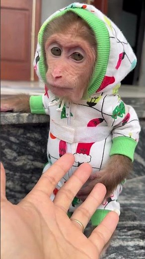 The monkey's face is so cute! #cute