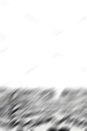 Hand-tufted Wool Zebra Rug: Black and White Animal Print Carpet - Etsy