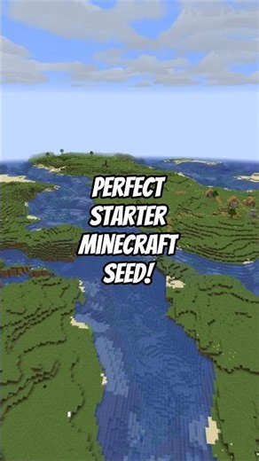 This Could Be The BEST STARTER SEED For Java 1.21.11