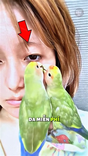 🦜 2 Chú Vẹt Quan Tâm Da Mặt Chủ