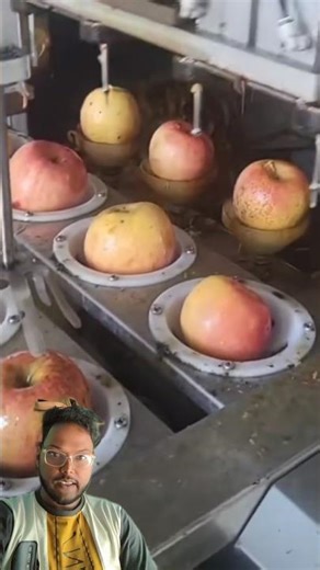 Genius China Machine: Apples Get Peeled & Packed in Seconds! 🍎⚡🔥”