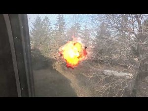 Trees Exploding in cold weather