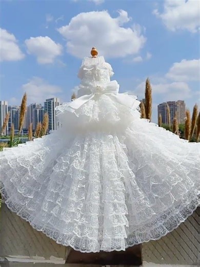 White Lace Cake Dog Dress with a Detachable Long Train 🎀