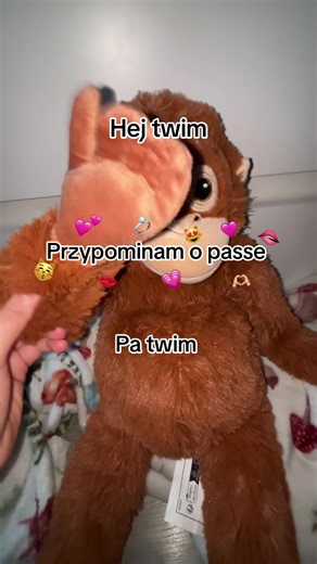 Understanding PASSAAA: Meaning and Cultural Significance