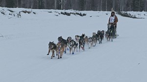 Mountain Men Season 13 Episode 9 Running Down a Dream