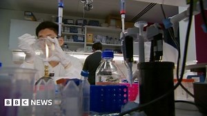 The strange new craft of making life from scratch