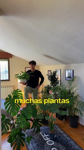 ¿Es beneficioso dormir con plantas? Descubre los resultados