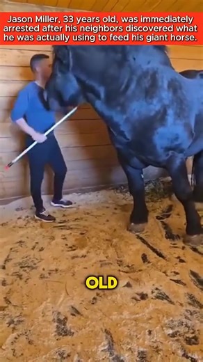 Jason Miller, 33 years old, was immediately arrested after his neighbors discovered what he was actually using to feed his giant horse. #story #shockingstory #truestory #lifestor | Jonh Daily