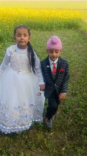 jhol song tere te main vari java