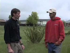 Septic System Function and Maintenance