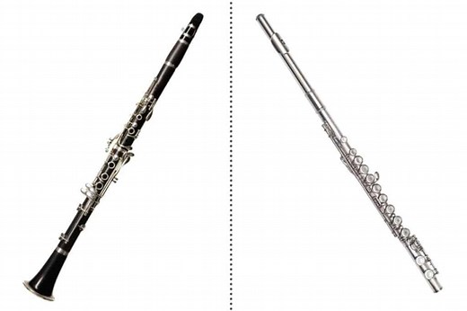 What’s the Difference Between the Clarinet And the Flute? An In-Depth Comparison | Sound Adventurer