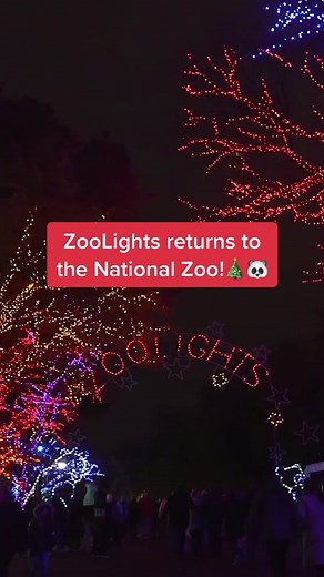 ZooLights at the National Zoo in Washington, DC
