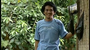 Jawara Jatuh Cinta