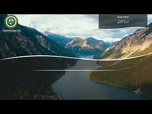 Quran Surah 27. An-Naml (The Ants) | Mishari Rashed Al Afasy