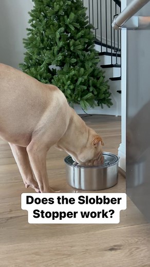 Olive did not use the Slobber Stopper at first, but she has started to use it more now. The only thing is that she seems to struggle getting the water at the bottom and her nose get squished. We are still figuring out whether she likes it or not but I will say it has reduced the slobber significantly | Olive & Ava the Tapping Pei