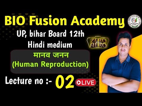 Human Reproduction | Male Reproductive System #2 | Class 12 Biology Hindi Medium ParishramBatch 2026