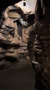 135K views · 1.3K reactions |  No feeling quite like walking through an empty Indiana Jones Adventure queue onto the ride! This was taken during an accurately predicted "below normal" crowds day at Disneyland, according to our crowd calendar. Google "Mickey Visit Disneyland Crowd Calendar" for our crowd-level projections for the parks. | Mickey Visit | Facebook