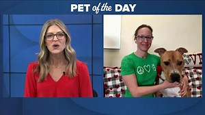 Pet of the Day: Colonel Sanders