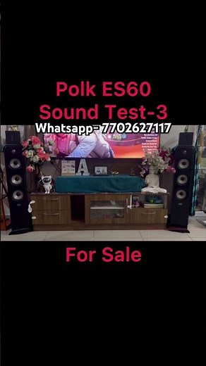 Polk ES60 Sound Test-3 🔊 Audiophile Tower Speaker Power!