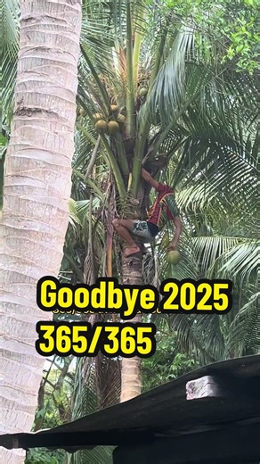 Goodbye 2025: Memorable Moments with Matua Tours Samoa