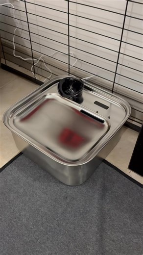 4K views · 94 reactions | Check out our new water fountain Available on our Amazon store https://amzn.to/3WlrjaL | Angels by the Dozen Boxers | Facebook