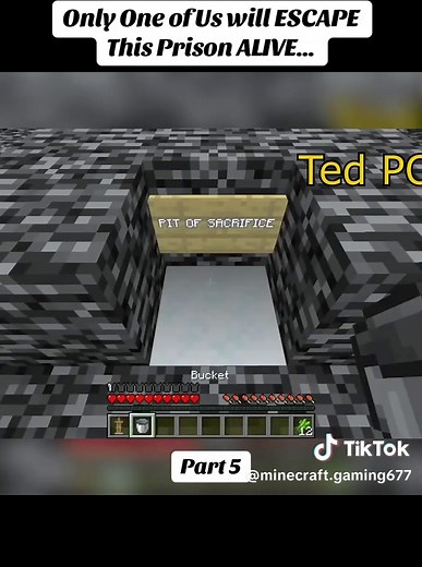 Escaping the Minecraft Prison Challenge Together