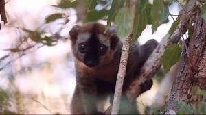 260K views · 24K reactions | A little something for you all during...