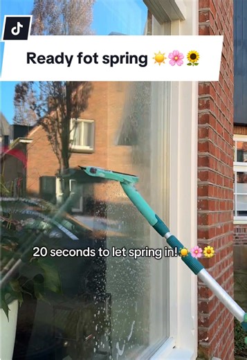 Get Ready for Spring Cleaning: Tips and Tricks