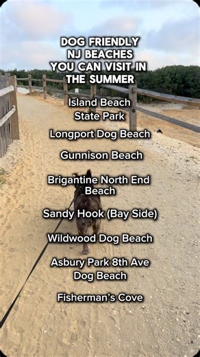Dog Friendly New Jersey | Dog Friendly Beaches You Can Visit YEAR-ROUND in NJ! 🌊 No need to wait for off-season🏖️ these spots welcome pups 365 days a year: 📍... | Instagram