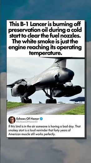 THE BONE WAKING UP AT DAWN