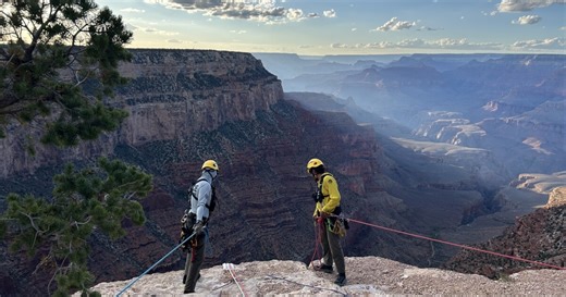 Colorado man found dead after vehicle goes over Grand Canyon rim