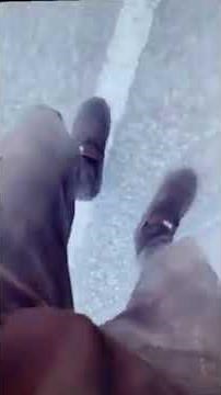 something's wrong with my legs (liquor store reupload)