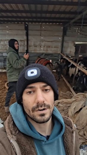 Sam Stein on Instagram: "From Ben Gvir talking about "voluntary transfer" to settler leaders like Elisha Yered boasting about grabbing hilltops, the settler movement has made it clear that they're not just acting out of impulsive hatred. They're using a strategy and on a mission. All footage from me and other @ucpinpalestine activists."