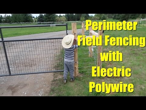 Perimeter Field Fencing with Electric Polywire