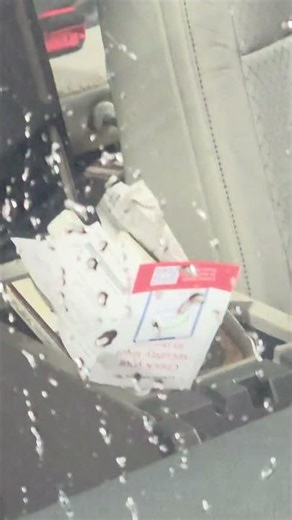 Ford Flex leak detection cowl clogged with debris