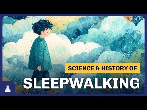Why Do We Sleepwalk? | Documentary For Sleep