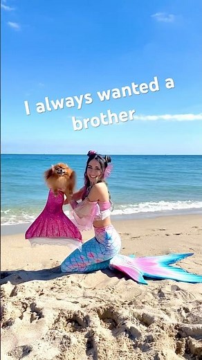 I got the merdog I always wanted 🥹 #cutedog #mermaid #dog #pomeranian #mermaidtail #h2o #disney