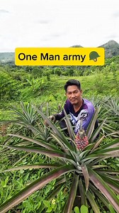 One Man army 🪖... #pineapplefarm #pineapple #farmertatay | Eric Repizo