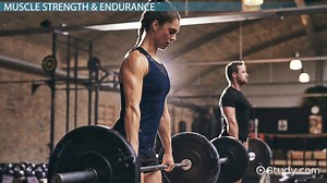Activities for Building Strength & Muscular Endurance - Video | Study.com