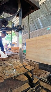 2.8K views · 19 reactions | From forest giant to home improvement gold, the mighty bandsaw makes it all possible | Sawmill & Woodworking | Facebook