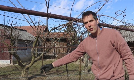 A rosszul kialakított kivilugas metszése: hogyan hozzuk helyre a hibát?