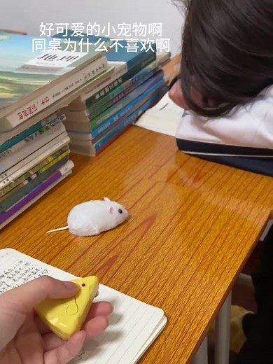 How could anyone not like rats and rats? Play with something very new. Remote control rats are c