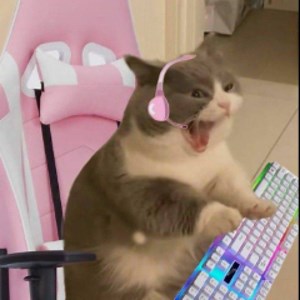 miss_cassi_ - Twitch