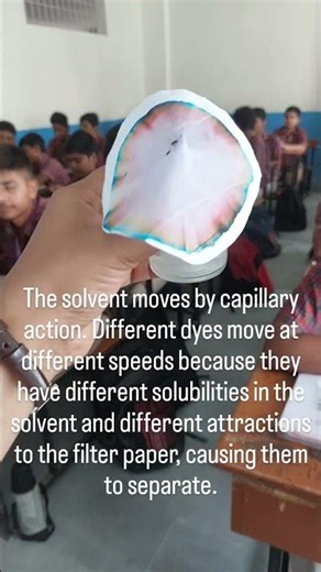 Paper Chromatography