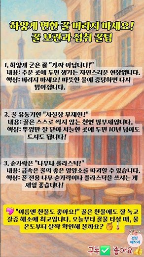 50대도 몰랐던 꿀 보관과 섭취 꿀팁 #꿀보관법 #결정현상 #꿀유통기한 #천연벌꿀 #중년생활꿀팁 #꿀숟가락 #주방꿀팁 #살림노하우 #50대건강 #쇼츠 #꿀상식