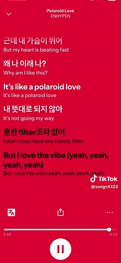 ENHYPEN: Polaroid Love Lyrics Unveiled